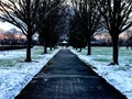 Road through snow filled green grass park in evening Royalty Free Stock Photo