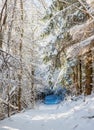 Road with snow