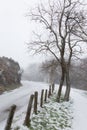 Road, snow and tree Royalty Free Stock Photo