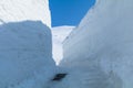 Road between snow wall of Tateyama Kurobe Alpine Route or Japa Royalty Free Stock Photo