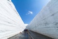 Road between snow wall of Tateyama Kurobe Alpine Route or Japan Royalty Free Stock Photo