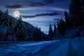 Road in snow through winter forest at night Royalty Free Stock Photo