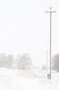 Road through a snowy field with electric wooden poles and trees. vertical view Royalty Free Stock Photo