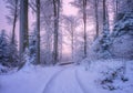 Road in snowy forest in beautiful winter at sunset. Colorful Royalty Free Stock Photo