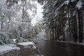 The road in the snowy forest. Outskirts of the Siberian city. Russia. First snow. October. Siberian nature landscape. Royalty Free Stock Photo