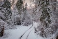 The road through snowy forest at winter, Poland Royalty Free Stock Photo