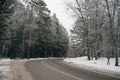 road through the snowy Siberian forest