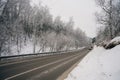 road through the snowy Siberian forest