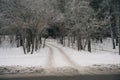 road through the snowy Siberian forest