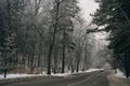 road through the snowy Siberian forest