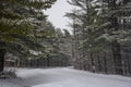 A Road on a Snowy Winter Afternoon