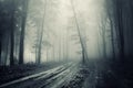 Road through a spooky forest with dark fog