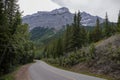 Rocky Mountains. asphalt mountain road on a sunny day. Road with yellow markings. Empty highway in Journey Royalty Free Stock Photo