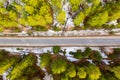 Road in the spring forest. Snow melts on the side of the road and between the trees. Aerial shot