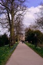 A road in spring to Cambridge university old builing, UK Royalty Free Stock Photo