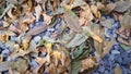 road stone background, dark gravel pebbles stone texture with golden and yellow leaves in autumn season Royalty Free Stock Photo