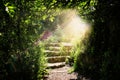 Road and stone stairs in magical and mysterious dark forest with mystical sun light. Fairy tale concept