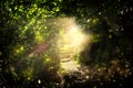 Road and stone stairs in magical and mysterious dark forest with mystical sun light and firefly. Fairy tale concept Royalty Free Stock Photo