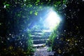 Road and stone stairs in magical and mysterious dark forest with mystical sun light and firefly. Fairy tale concept