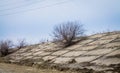 Road strengthening. concrete slabs on the slope. a bush without leaves grows between concrete slabs.