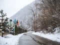 A road stretching into the distance with wooded mountains on one side and thujas on the other Royalty Free Stock Photo