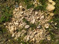 A road strewn with small stones, sand, a lot of small stones in the grass Royalty Free Stock Photo