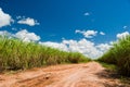 Road for the Sugar Cane Field Royalty Free Stock Photo