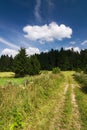 Road through the summer countryside Royalty Free Stock Photo