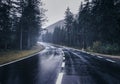Road in the summer foggy forest in rain. Landscape Royalty Free Stock Photo