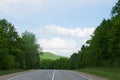 Road in summer forest