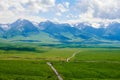 The road in summer grassland Royalty Free Stock Photo