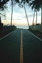 Road sunset ocean coconut