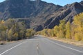 A road surrounded by Autumn leaves in the back country of Utah Royalty Free Stock Photo