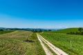 Road surrounded by green grass fields on a sunny day in Ruswil, Switzerland Royalty Free Stock Photo