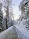 Road surrounded by trees covered in the snow under the sunlight in Larvik in Norway Royalty Free Stock Photo