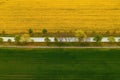 Road surrounded by trees and cultivated rapeseed and wheat fields, aerial shot from drone pov Royalty Free Stock Photo