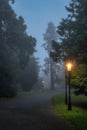 Road surrounded by trees and illuminated by vintage street lamps in Farmleigh Phoenix Park. Moody, Ireland