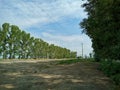 A road surrounded on two sides by two rows of poplars in the countryside. Royalty Free Stock Photo