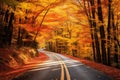 A road surrounded by vibrant autumn foliage