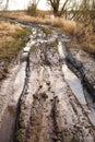 Road for SUVs, off-road, puddles and dirt