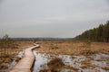 Road in the swamp. wooden path in the woods.