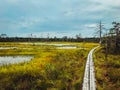 Road in the swamps in Estonia. Royalty Free Stock Photo