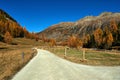 Road through the Swiss Alps. Royalty Free Stock Photo
