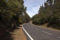 The road on Tenerife island Royalty Free Stock Photo