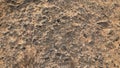 road texture with pink dust close up