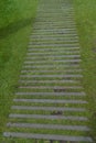 Road texture of stone and grass lines Royalty Free Stock Photo