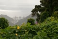 Road TF-12 in Anaga Rural Park - peaks with ancient forest on Te Royalty Free Stock Photo