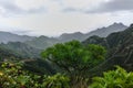 Road TF-12 in Anaga Rural Park - peaks with ancient forest on Te Royalty Free Stock Photo