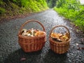 Two baskets full of mushrooms Royalty Free Stock Photo