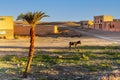 Road of a thousand Kasbahs is a spectacular drive winding through stunning desert landscapes.